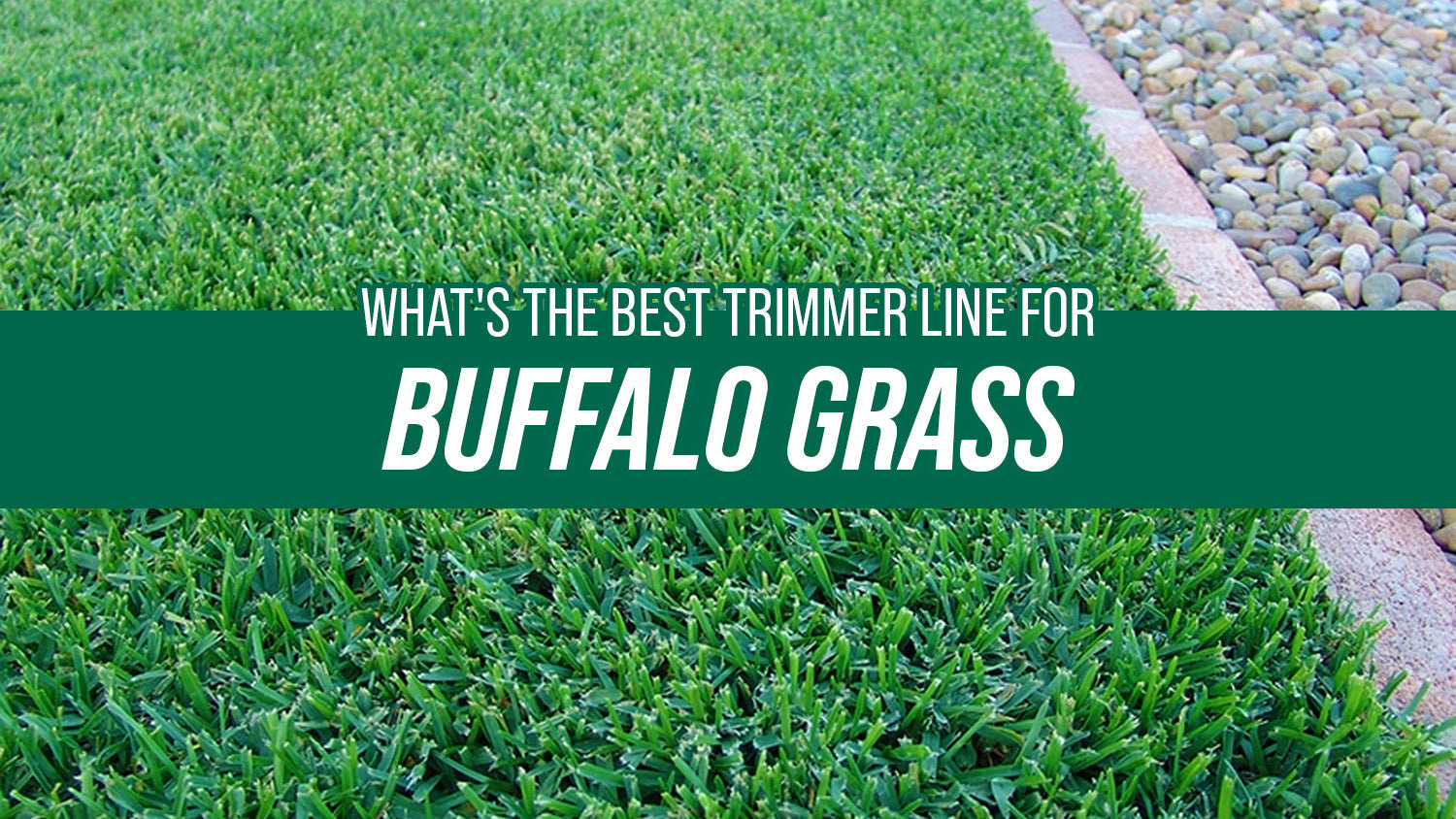 What's the Best Trimmer Line for Buffalo Grass
