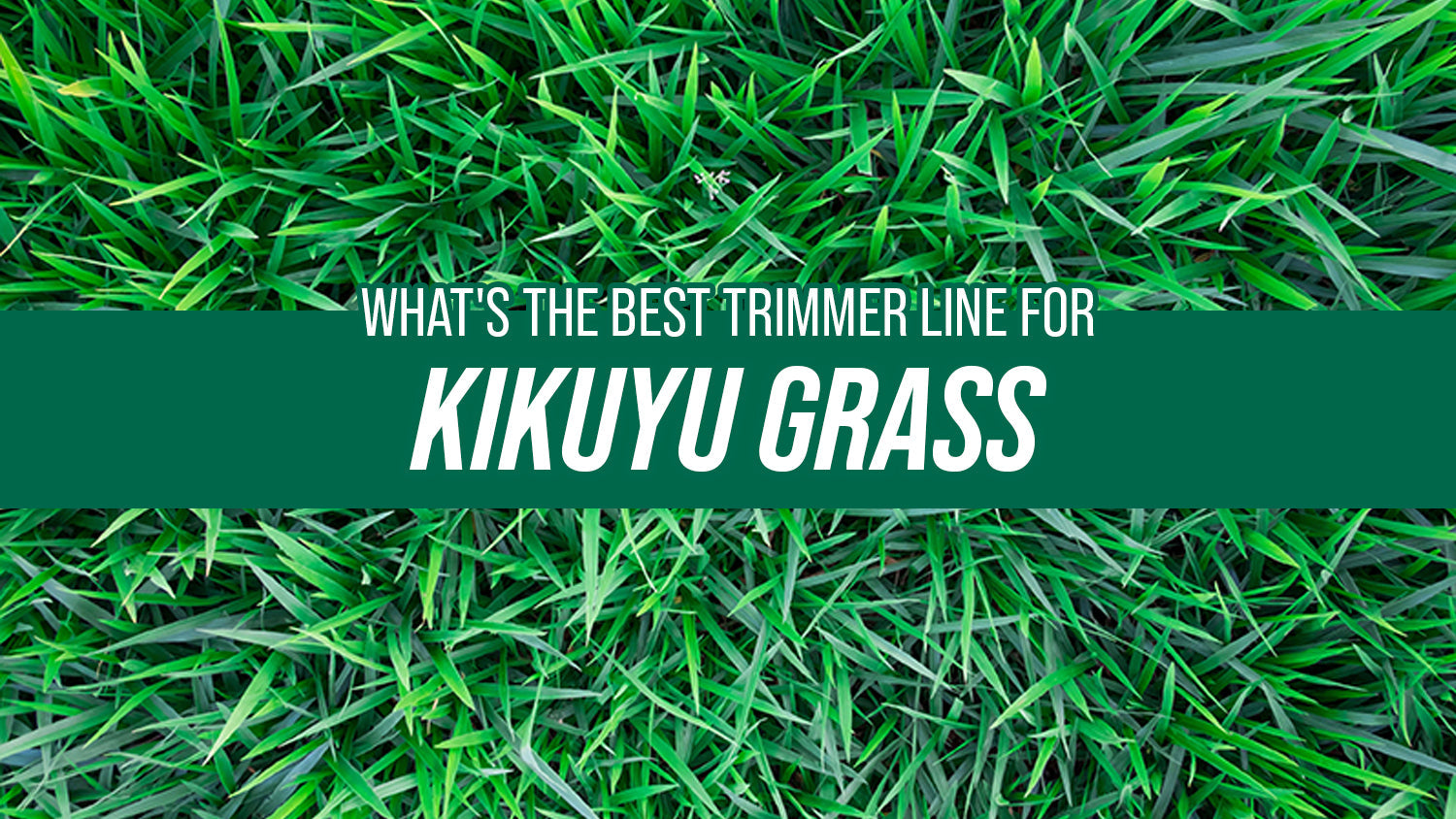 The Best Trimmer Line for Kikuyu Grass