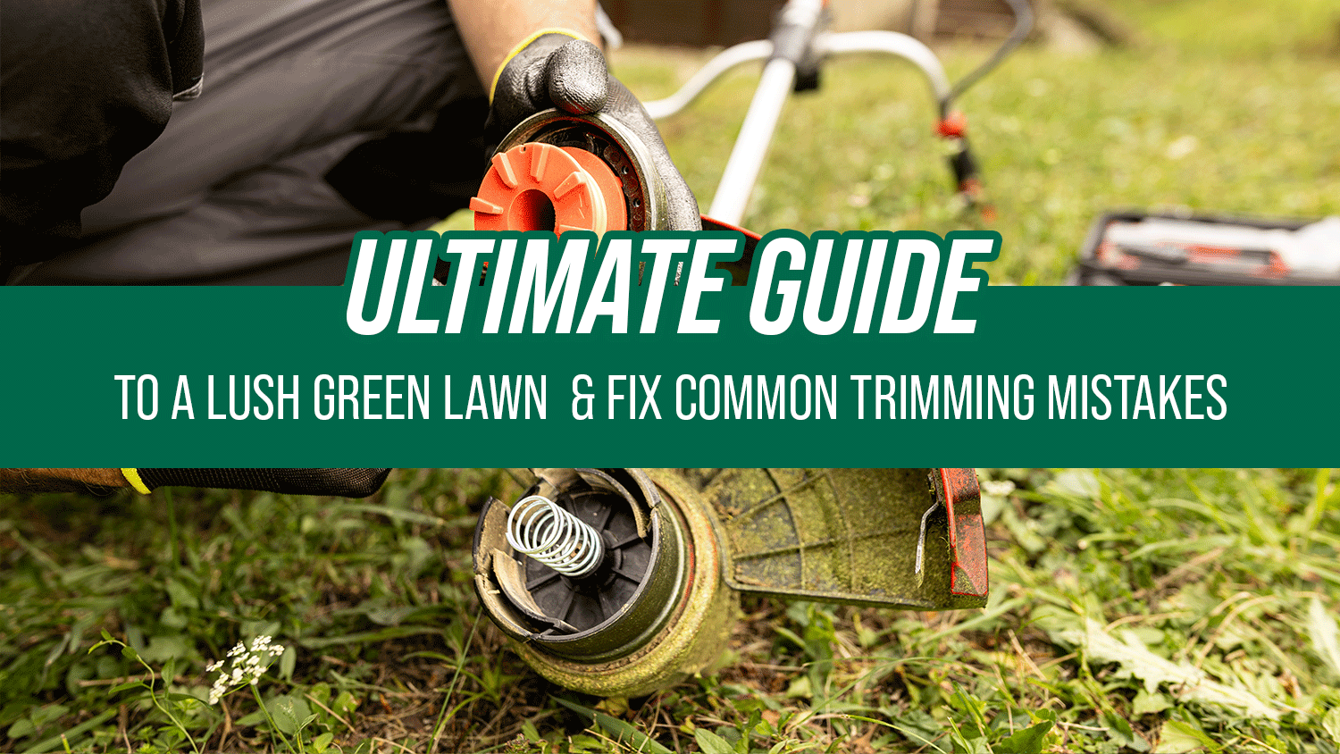 Ultimate Guide to a Lush Green Lawn: Fixing Common Trimming Mistakes in Australia