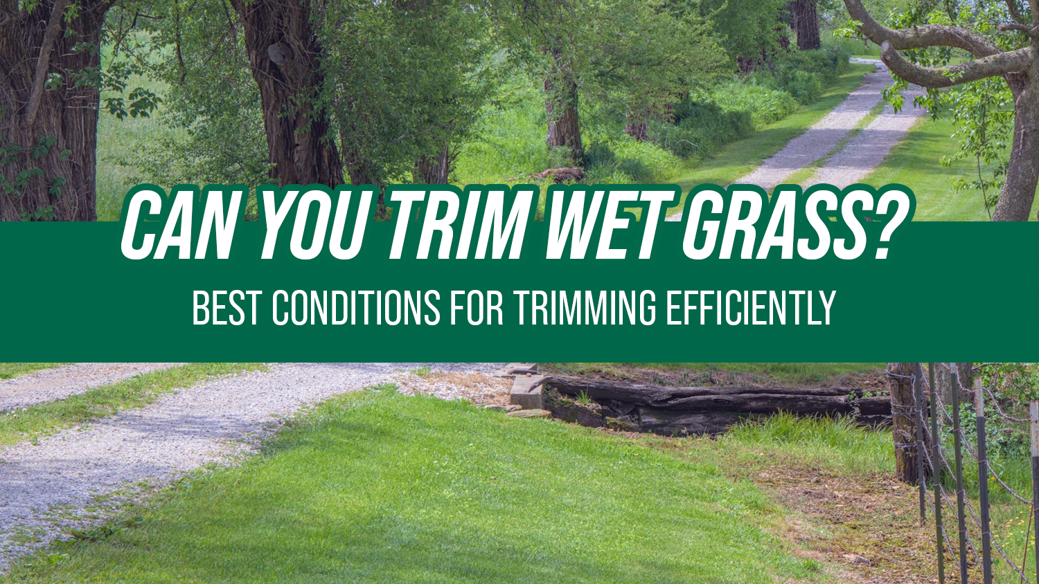 Can You Trim Wet Grass? Best Conditions for Trimming Efficiently