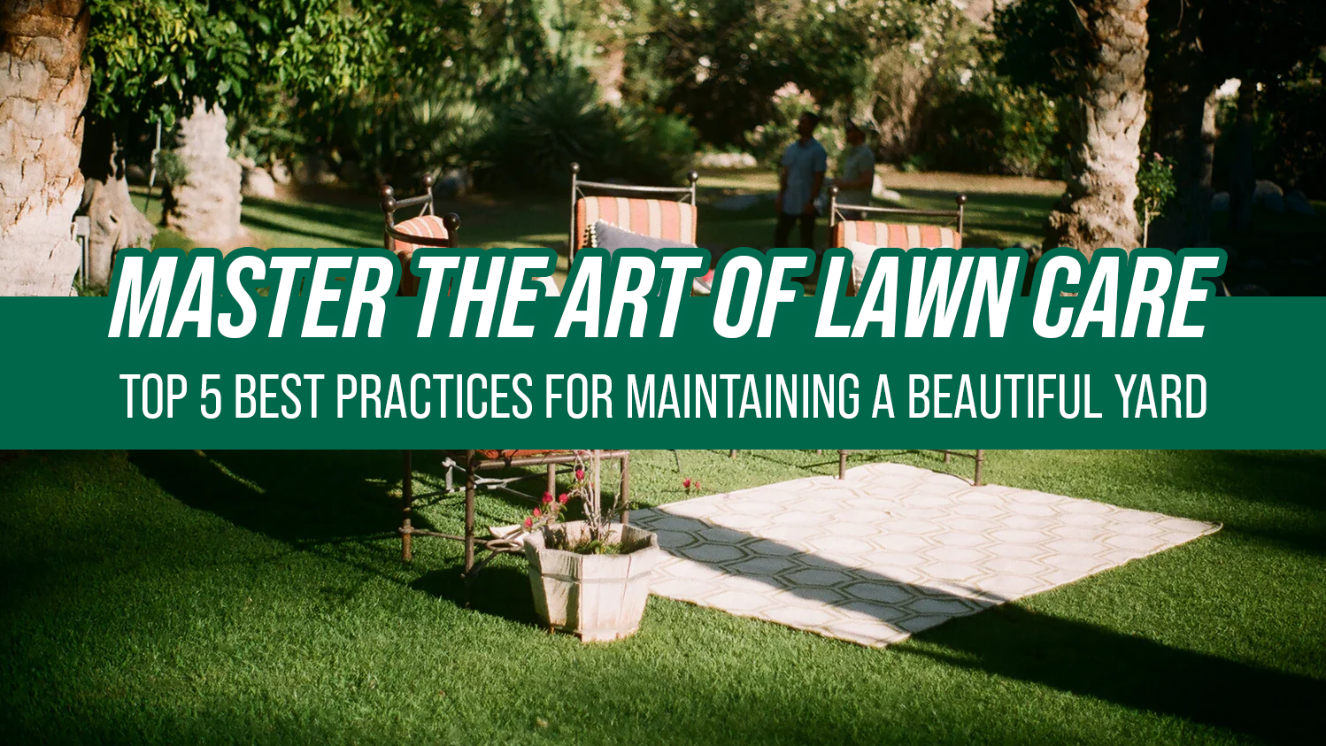 Master the Art of Lawn Care: Top 5 Best Practices for Maintaining a Beautiful Yard