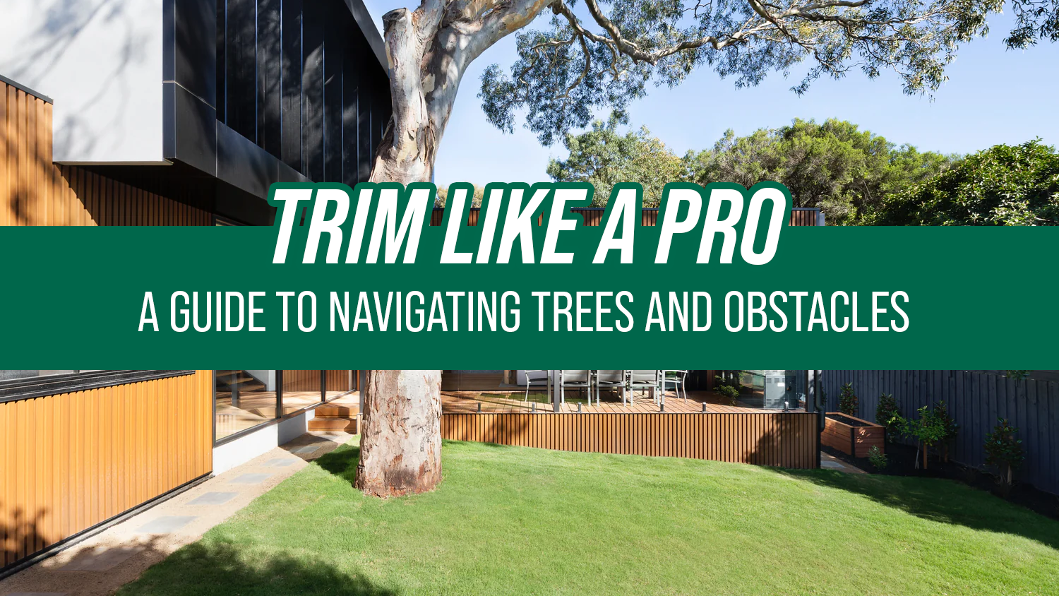 Trim Like a Pro: A Guide to Navigating Trees and Obstacles
